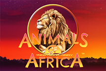 Animals of Africa™